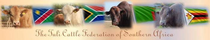Tuli-Cattle-Federation-of-Southern-Africa-website-banner