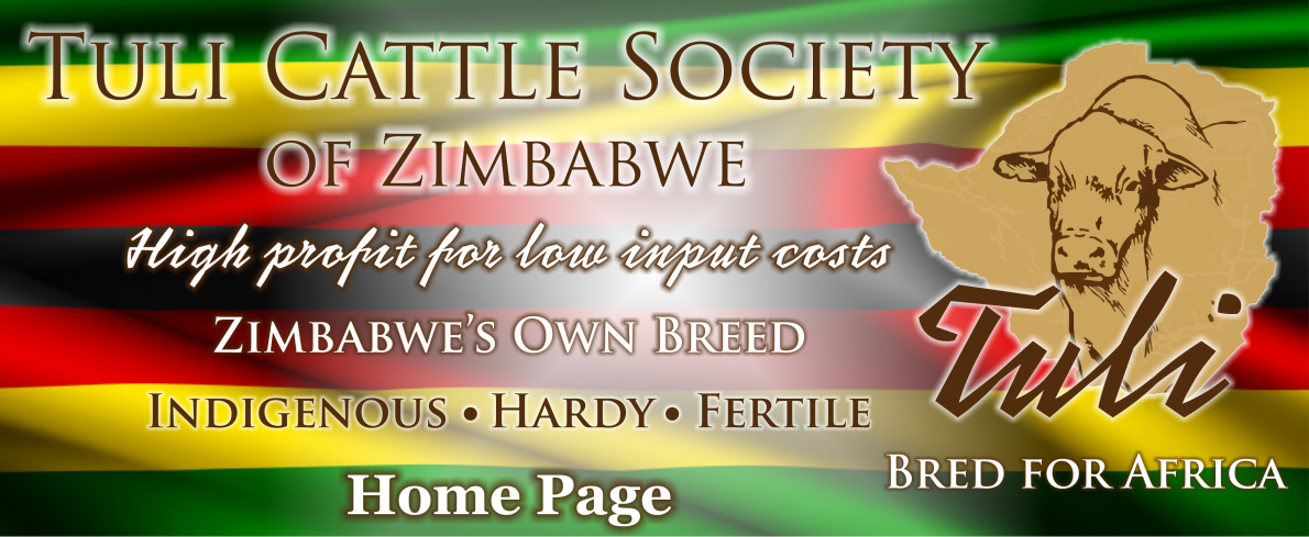 Tuli-Cattle-Society-Zimbabwe-home-page-web-banner-2025