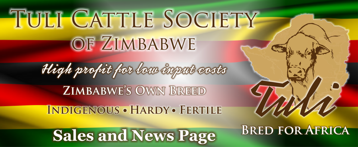 Tuli-Cattle-Society-Zimbabwe-sales-and-news-web-banner-2025