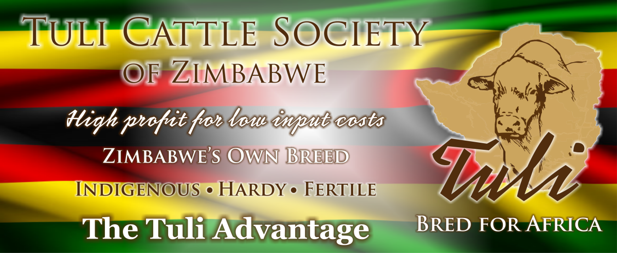 Tuli Cattle Society The Tuli Advantage web banner